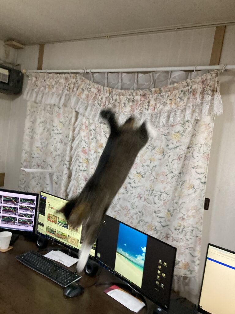 もひ飛び降り画像