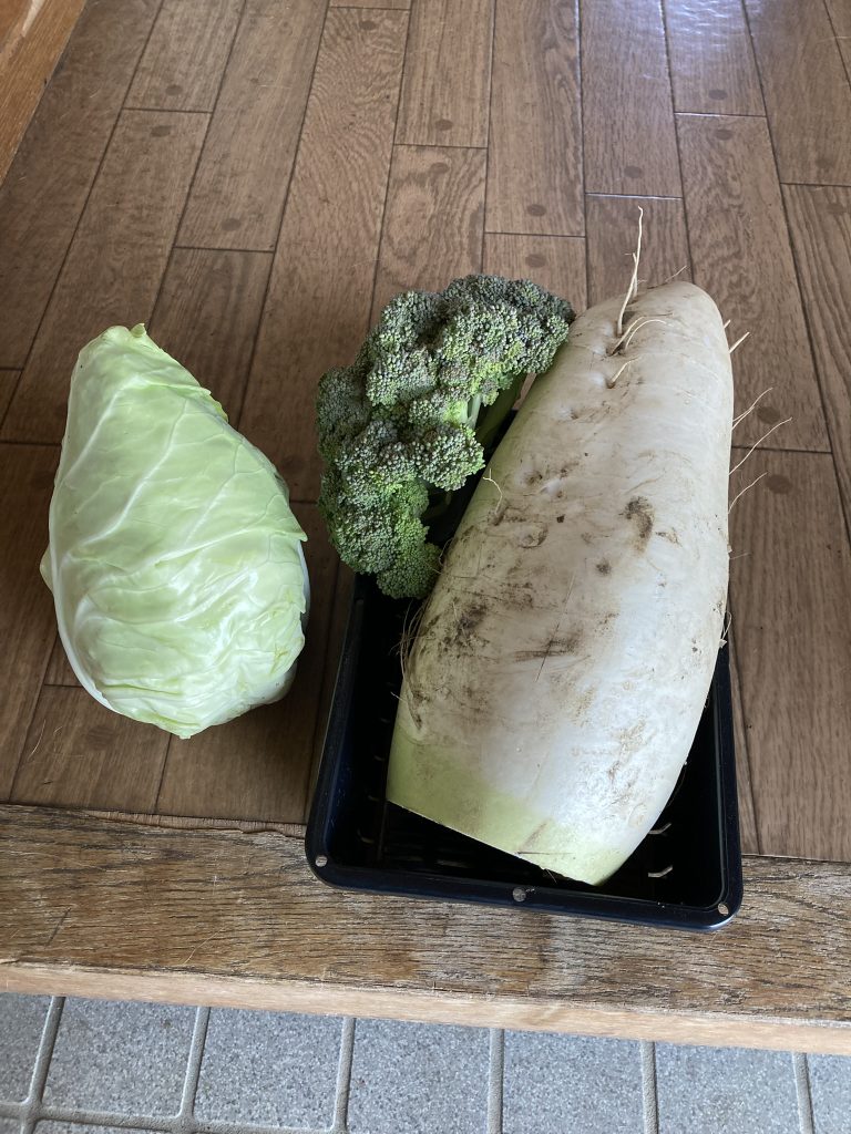 もらった野菜